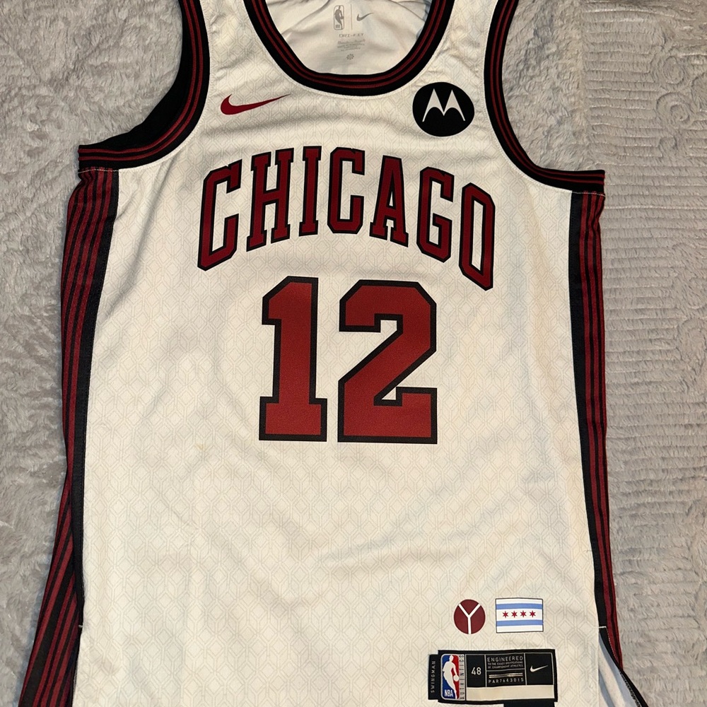 NBA Ayo Dosunmu Nike Chicago Bulls 2022-23 City Edition Swingman Jersey